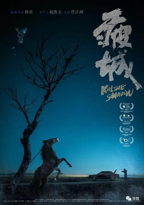苏里南护照作假